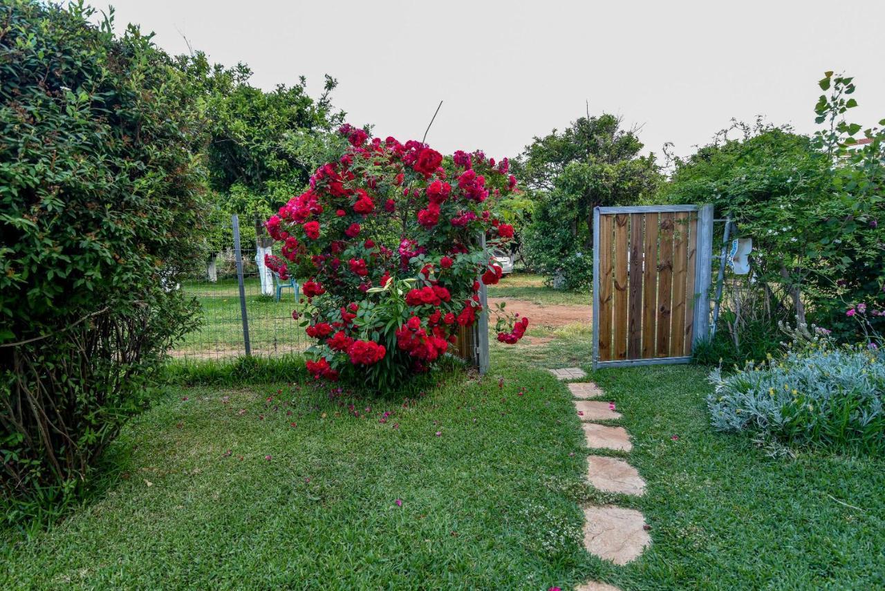 Leader Apartment Mytikas (Epirus)